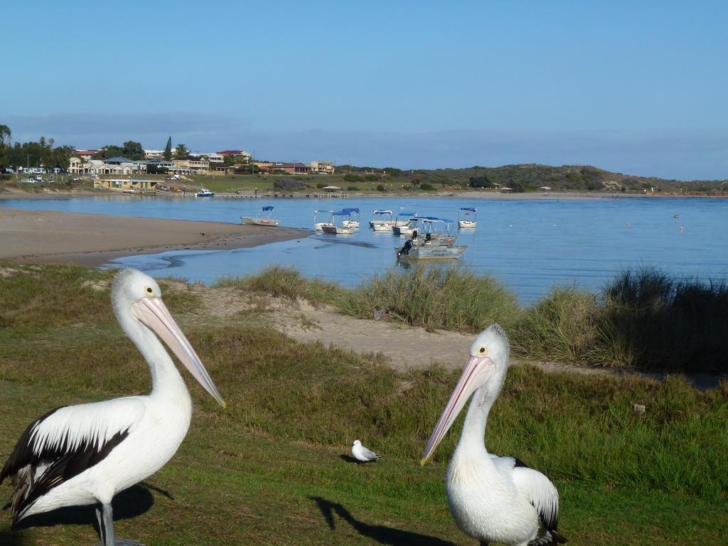 Pelican'S Nest Kalbarri Exterior photo
